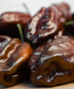 50 Hot Brown Habanero Pepper Seeds - Capsicum Chinense - Image 7