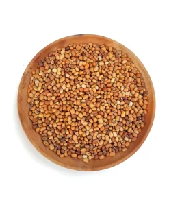 50 Iron Clay Cowpea Seeds - Forage Food Plot & Soil Builder - Image 5