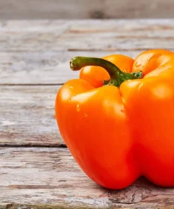 50 Orange Sun Bell Pepper Seeds - Sweet Capsicum Vegetable Seeds - Image 5