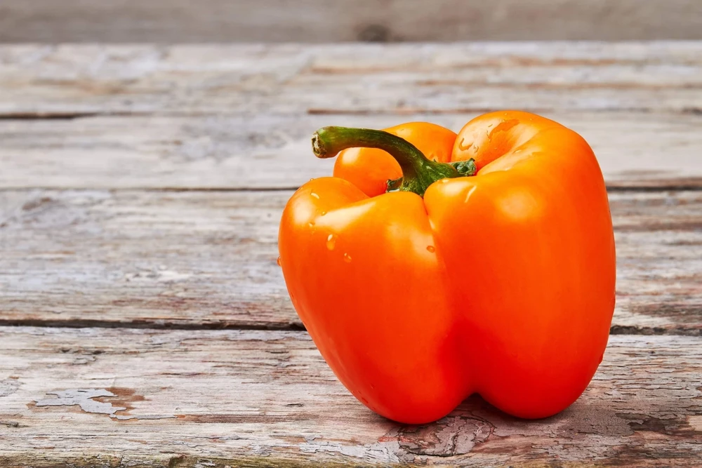 50 Orange Sun Bell Pepper Seeds - Sweet Capsicum Vegetable Seeds - Image 5