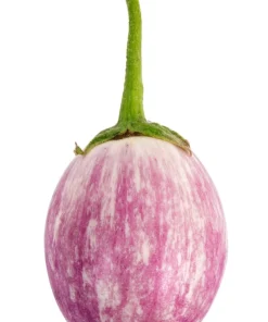 50 Organic Italian Rosa Bianca Eggplant Vegetable Seeds – Solanum Melongena - Image 3