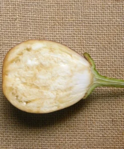50 Organic Italian Rosa Bianca Eggplant Vegetable Seeds – Solanum Melongena - Image 5