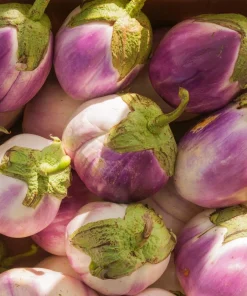 50 Organic Italian Rosa Bianca Eggplant Vegetable Seeds – Solanum Melongena - Image 8
