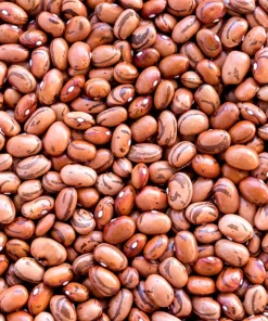 50 Pinto Bean Seeds - Phaseolus Vulgaris Vegetable Seeds for Planting - Image 6