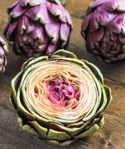 50 Purple Romagna Artichoke Seeds - Italian Cynara Scolymus Vegetable Seeds - Image 7