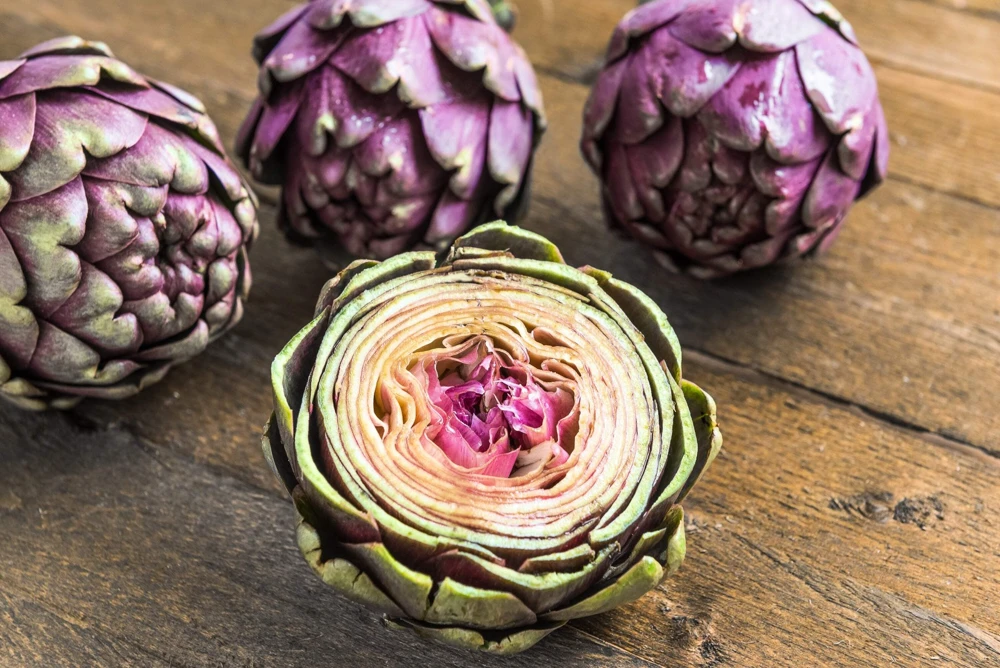 50 Purple Romagna Artichoke Seeds - Italian Cynara Scolymus Vegetable Seeds - Image 7