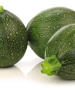 50 Round Zucchini Summer Squash Seeds - Cucurbita Pepo Vegetable Seeds - Image 2