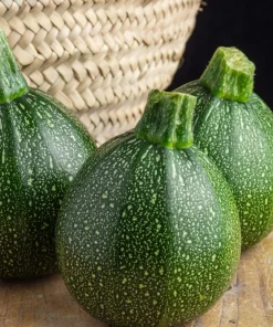 50 Round Zucchini Summer Squash Seeds - Cucurbita Pepo Vegetable Seeds - Image 3