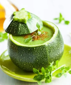 50 Round Zucchini Summer Squash Seeds - Cucurbita Pepo Vegetable Seeds - Image 9