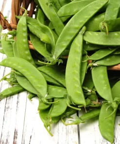 50 Snow Pea Seeds – Pisum Sativum Vegetable Seeds – Easy to Grow Outdoor - Image 1