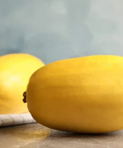 50 Spaghetti Squash Seeds - Winter Cucurbita Pepo Vegetable Seeds - Image 6
