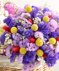 50 Statice Sinuata Sea Lavender Seeds - Pacific Mix Flower Seeds - Image 2