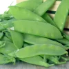 50 Sugar Pod II Pea Seeds - Pisum Sativum Macrocarpon Vegetable Seeds Outdoor - Image 1