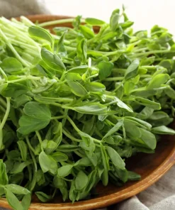 50 Super Sugar Snap Pea Seeds - Pisum Sativum Macrocarpon Vegetable Seeds - Image 6
