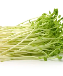50 Super Sugar Snap Pea Seeds - Pisum Sativum Macrocarpon Vegetable Seeds - Image 7