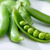 50 Super Sugar Snap Pea Seeds - Pisum Sativum Macrocarpon Vegetable Seeds - Image 1