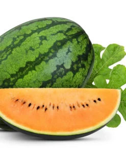 50 TenderSweet Orange Watermelon Seeds - Citrullus Lanatus Fruit Melon - Image 4