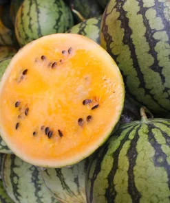 50 TenderSweet Orange Watermelon Seeds - Citrullus Lanatus Fruit Melon - Image 6
