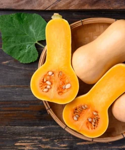 50 Waltham Butternut Squash Seeds - Winter Cucurbita Moschata Vegetable - Image 4
