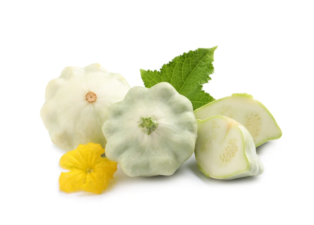 50 White Bush Scallop Squash Seeds - Patty Pan Summer Vegetable - Image 2