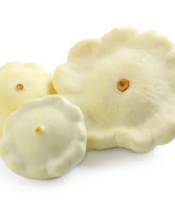 50 White Bush Scallop Squash Seeds - Patty Pan Summer Vegetable - Image 3