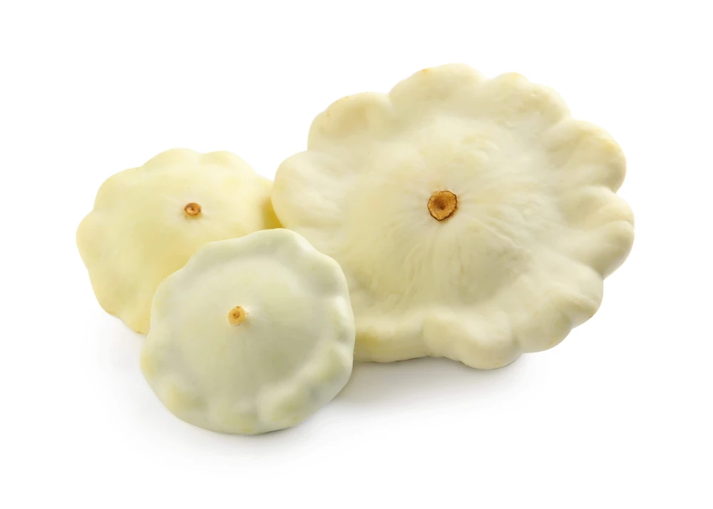 50 White Bush Scallop Squash Seeds - Patty Pan Summer Vegetable - Image 3