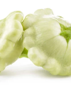 50 White Bush Scallop Squash Seeds - Patty Pan Summer Vegetable - Image 5