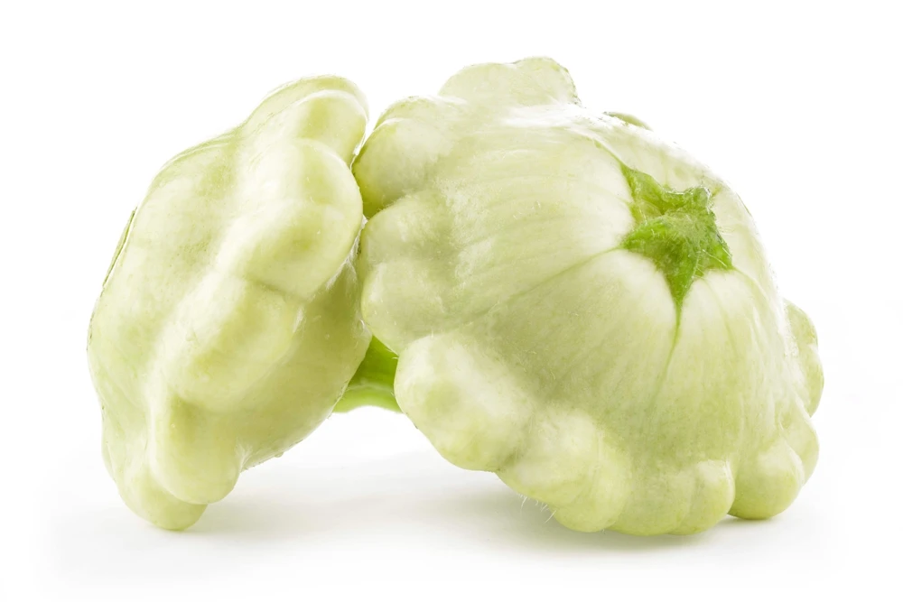 50 White Bush Scallop Squash Seeds - Patty Pan Summer Vegetable - Image 5