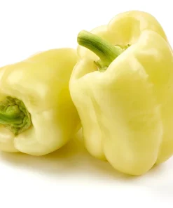 50 White Cloud Bell Pepper Seeds - Sweet Mild Capsicum Annuum - Image 4