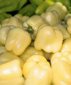 50 White Cloud Bell Pepper Seeds - Sweet Mild Capsicum Annuum - Image 6