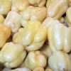 50 White Cloud Bell Pepper Seeds - Sweet Mild Capsicum Annuum - Image 1