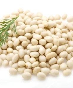 50 White Great Northern Bean Bush Vegetable Seeds - Phaseolus Vulgaris - Image 3