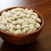 50 White Great Northern Bean Bush Vegetable Seeds - Phaseolus Vulgaris - Image 1