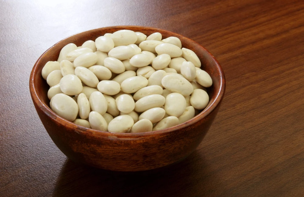 50 White Great Northern Bean Bush Vegetable Seeds - Phaseolus Vulgaris - Image 1