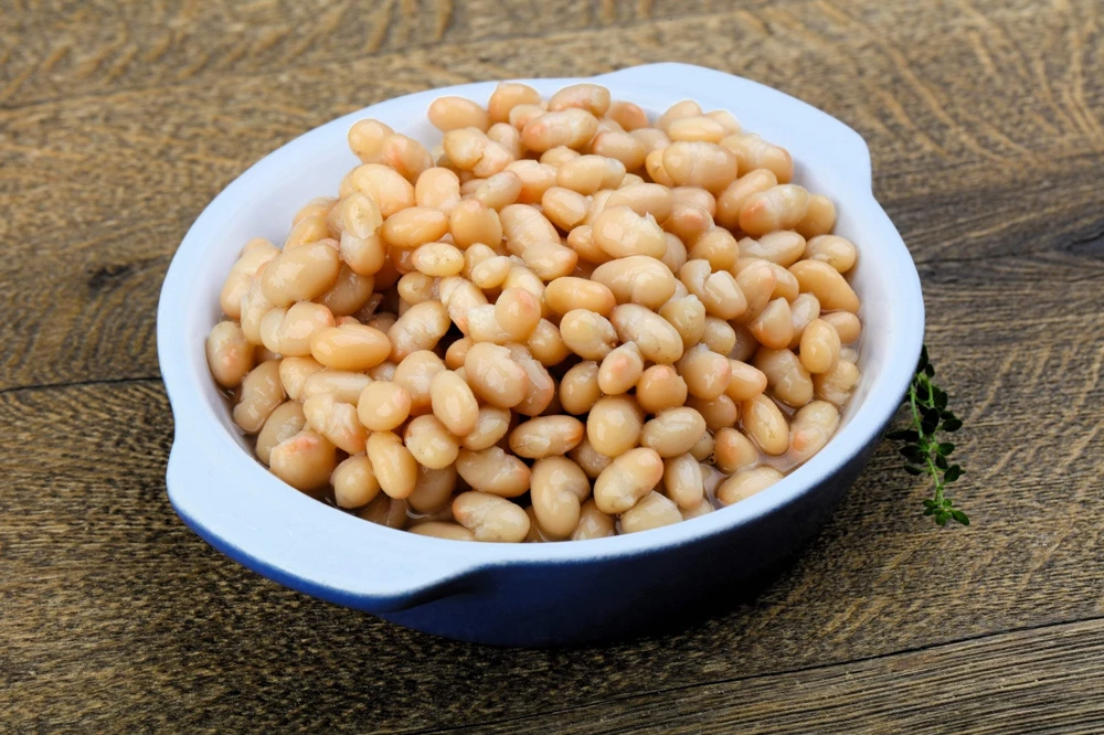 50 White Great Northern Bean Bush Vegetable Seeds - Phaseolus Vulgaris - Image 5