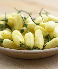 50 White Habanero Pepper Seeds - Hot Capsicum Chinense Vegetable Seeds - Image 2