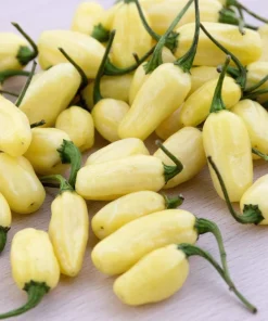 50 White Habanero Pepper Seeds - Hot Capsicum Chinense Vegetable Seeds - Image 3