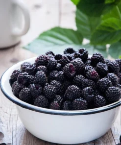 50 Whitebark Black Raspberry Seeds - Rubus Leucodermis - Native Fruit Berry - Image 10