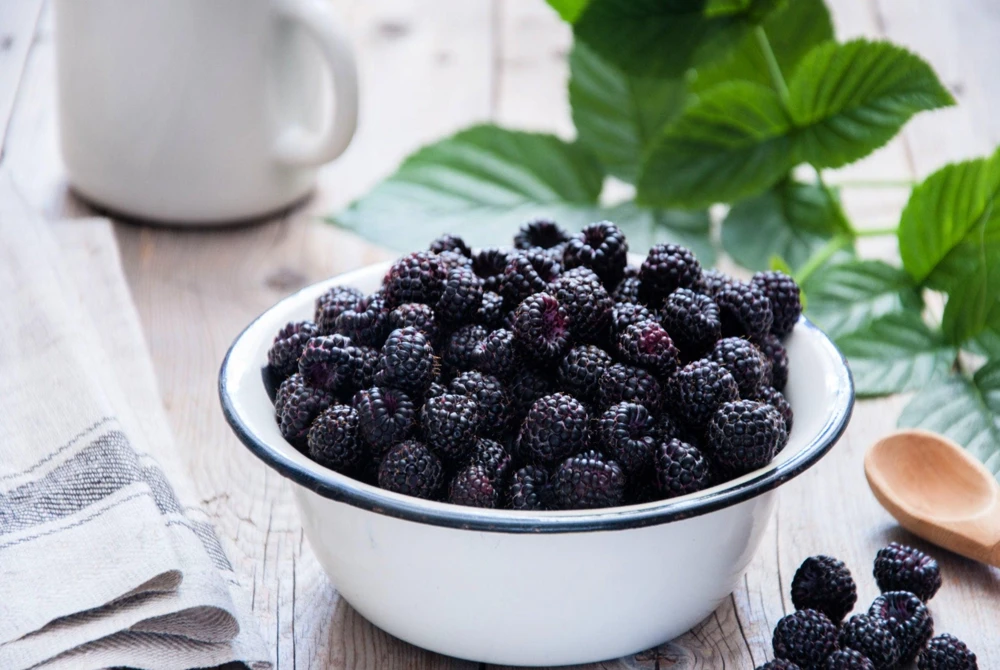 50 Whitebark Black Raspberry Seeds - Rubus Leucodermis - Native Fruit Berry - Image 10