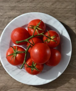 500 ACE 55 Tomato Seeds – Lycopersicon Lycopersicum Fruit Vegetable Seeds - Image 4
