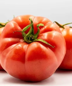 500 Beefsteak Tomato Seeds – Lycopersicon Lycopersicum Fruit Vegetable Seeds - Image 5