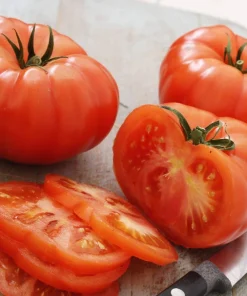 500 Beefsteak Tomato Seeds – Lycopersicon Lycopersicum Fruit Vegetable Seeds - Image 7