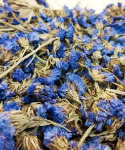 500 Blue Chinese Forget Me Not Seeds - Cynoglossum Amabile - Shade/Sun - Image 3