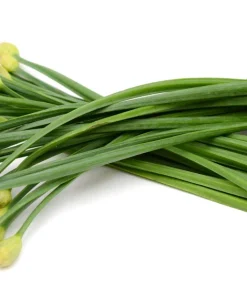500 Chinese Leek Seeds - Allium Tuberosum Vegetable Seeds for Garden - Image 4