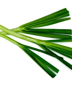 500 Chinese Leek Seeds - Allium Tuberosum Vegetable Seeds for Garden - Image 5