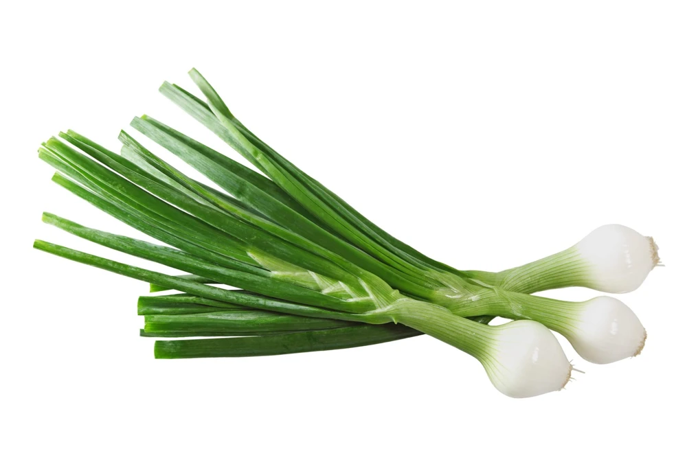 500 Crystal White Pearl Onion Seeds - Allium Cepa Vegetable Seeds for Planting - Image 3