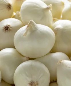 500 Crystal White Pearl Onion Seeds - Allium Cepa Vegetable Seeds for Planting - Image 5