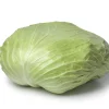 500 Flat Dutch Late Cabbage Vegetable Seeds - Brassica Oleracea Capitata - Image 1