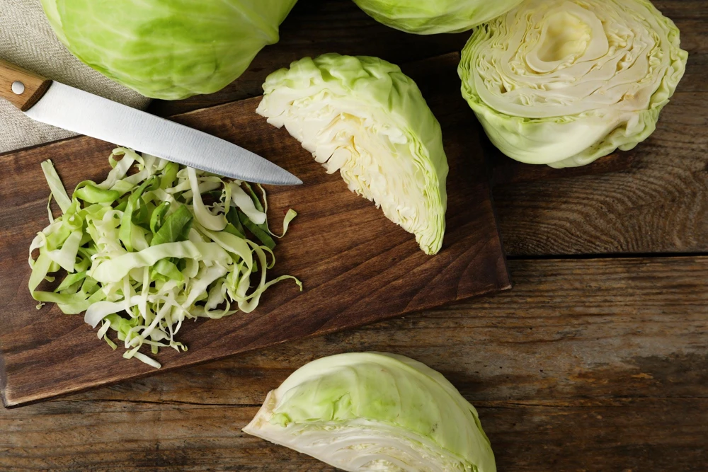 500 Flat Dutch Late Cabbage Vegetable Seeds - Brassica Oleracea - Image 5