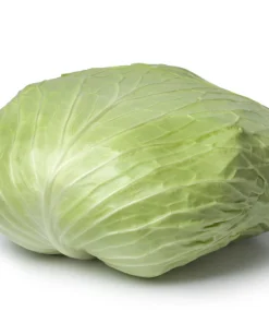 500 Flat Dutch Late Cabbage Vegetable Seeds - Brassica Oleracea - Image 1